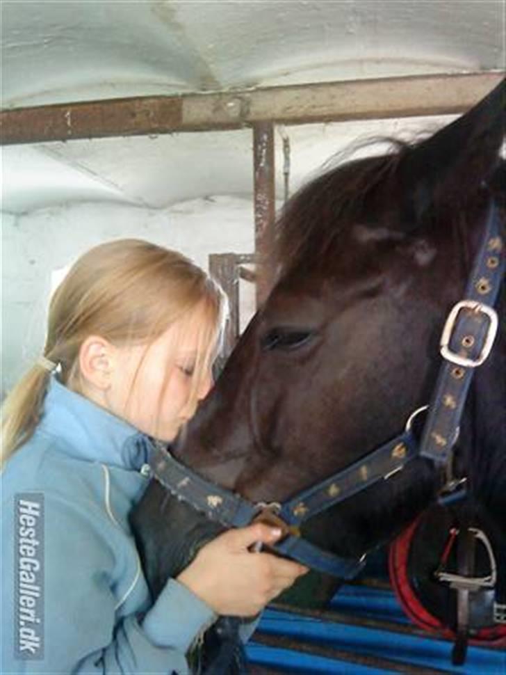 Anden særlig race Egelands Jack *R.I.P* billede 4