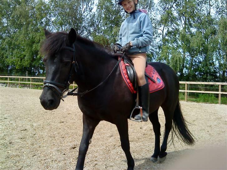 Anden særlig race Egelands Jack *R.I.P* billede 10