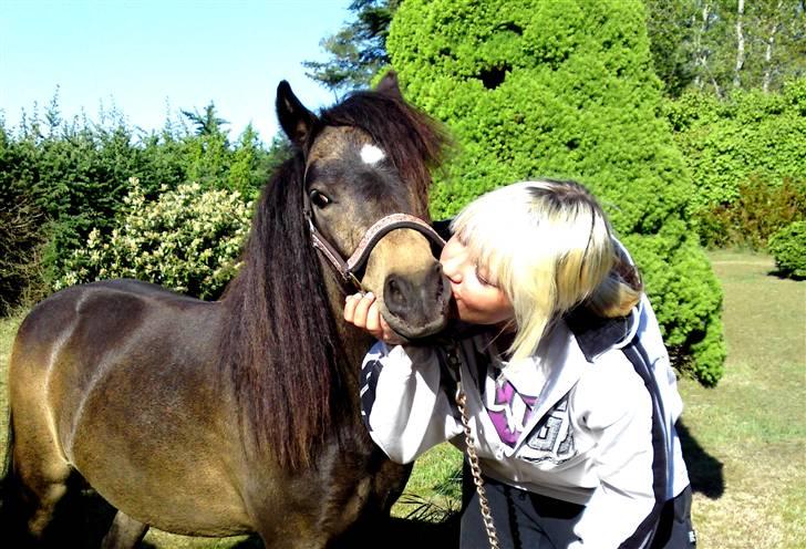 Welsh Pony (sec B) | Miss Dusty Fairytale | solgt | - Dusty og jeg hjemme i haven d. 12maj 2009 (:  billede 5