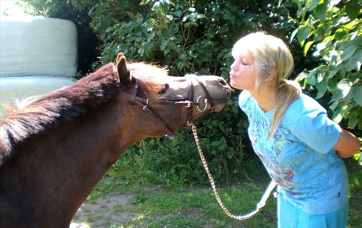 Welsh Pony (sec B) | Miss Dusty Fairytale | solgt | - Dusty og jeg kysser :i   - d. 10 juli 2010<3 billede 6