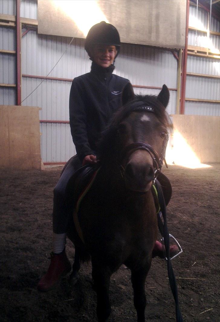 Welsh Pony (sec B) | Miss Dusty Fairytale | solgt | - Maria & Dusty d. 26 august 2010 (: billede 10