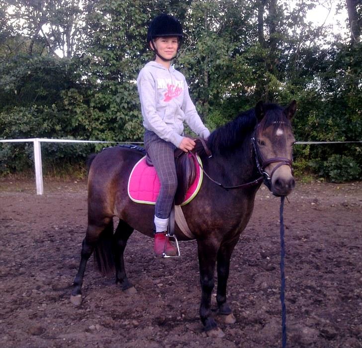 Welsh Pony (sec B) | Miss Dusty Fairytale | solgt | - Dusty & Maria d. 30 august 2010<3 billede 16