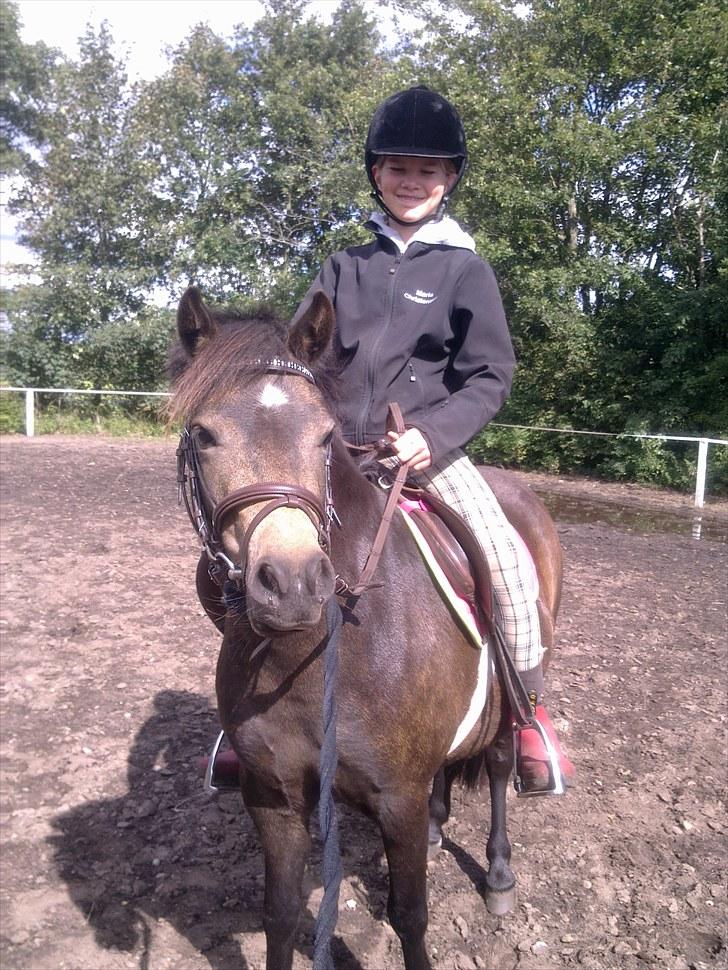 Welsh Pony (sec B) | Miss Dusty Fairytale | solgt | - Dusty & Maria d. 29 august 2010<3 billede 17