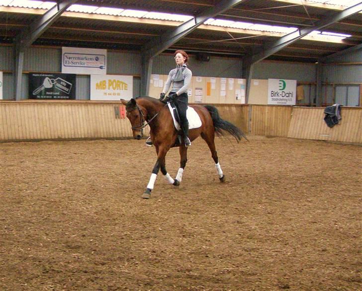 Anden særlig race Ronja  billede 1