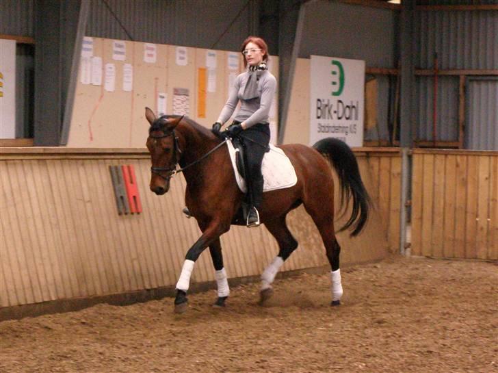 Anden særlig race Ronja  billede 2