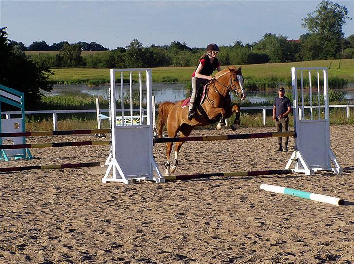 Anden særlig race Passir - Sommer 09, springkursus | Foto: Mor billede 8