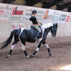 Anden særlig race Zack <3 (Charmetrolden) De evige græsmarker<3