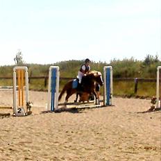 Anden særlig race Mac Gregor 