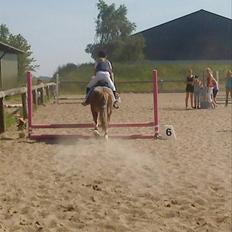 Anden særlig race Mac Gregor 