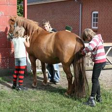 Islænder Fríða Drafna