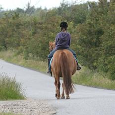 Islænder Fríða Drafna