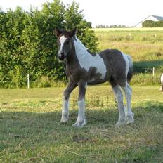 Tinker Keep Kool Krede Krasuld