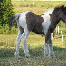 Tinker Keep Kool Krede Krasuld