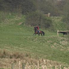 Anden særlig race lucky star