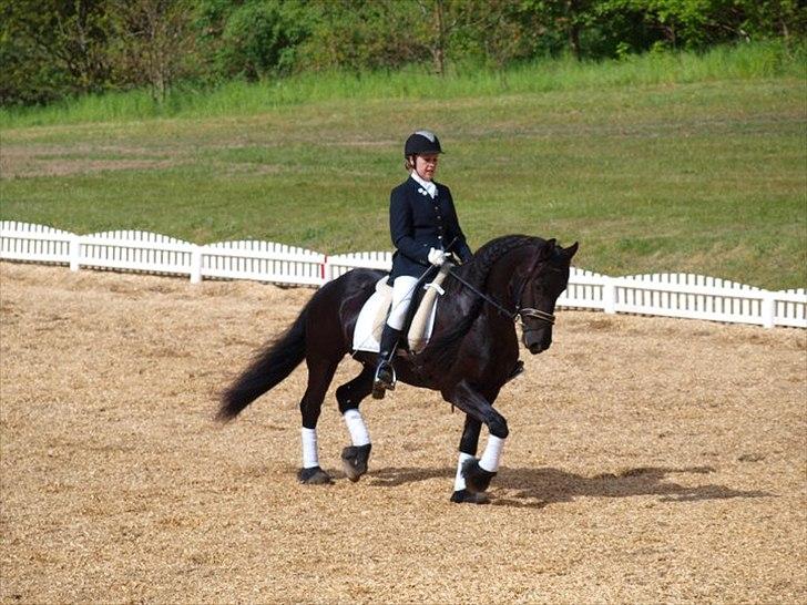 Frieser Goudtsje F - Til stævne på OHR d. 15/5-2011 billede 8