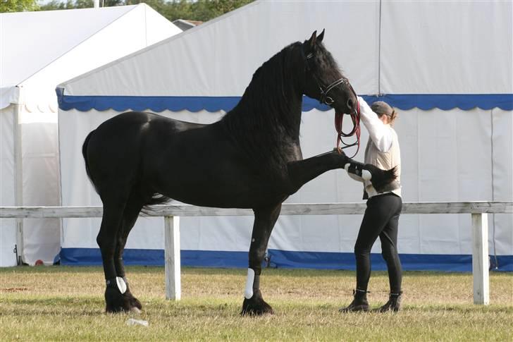Frieser prince aflivet pga wobler billede 6