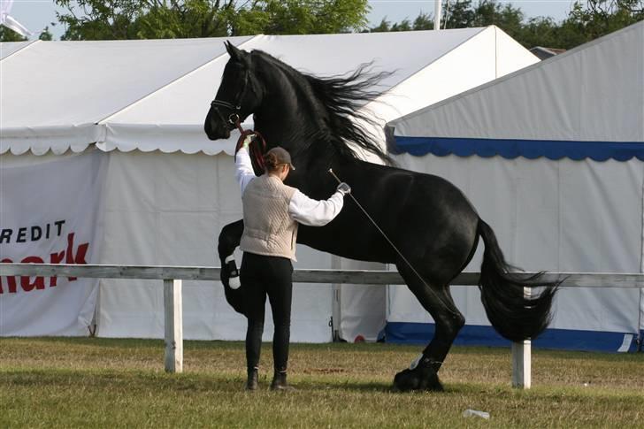 Frieser prince aflivet pga wobler billede 7