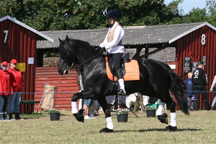 Frieser prince aflivet pga wobler billede 8