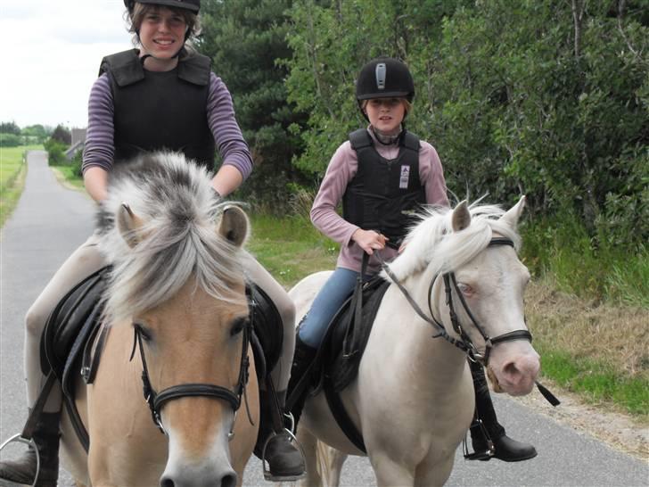 Fjordhest Rosenlunds Chili/ Cicero  - Emilie og mig. da vi var på vej hjem fra rideskolen :) billede 14