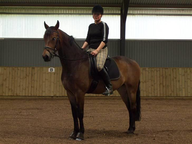 Pinto Squaws Last Mohican billede 17