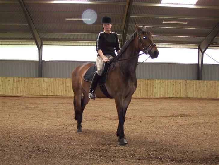 Pinto Squaws Last Mohican billede 18