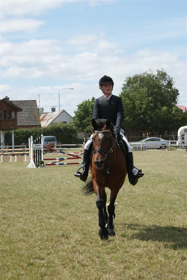 Belgisk varmblod Ushuaia - På vej ud af banen ;D Foto: Nadiiih billede 10