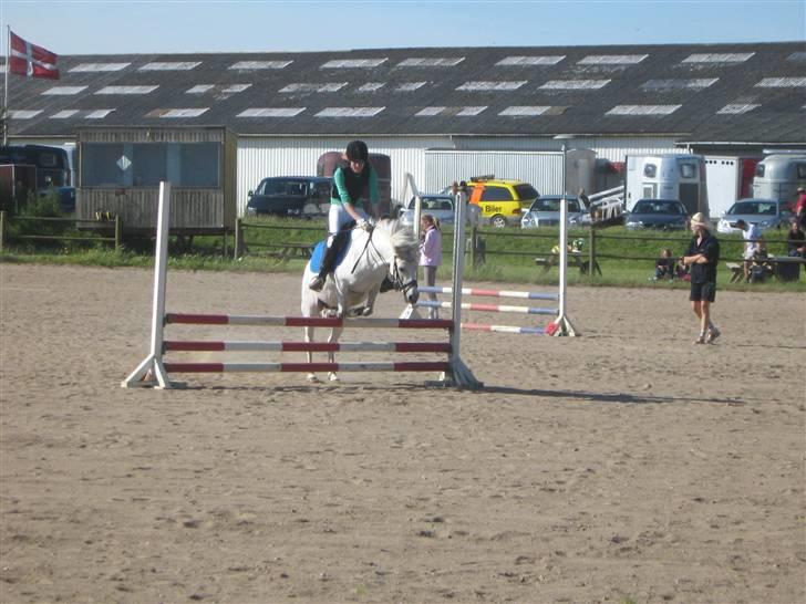 Anden særlig race Snehvide - 12# Stævne i KBK - LCmin      Foto : Hanne´s mor  billede 12