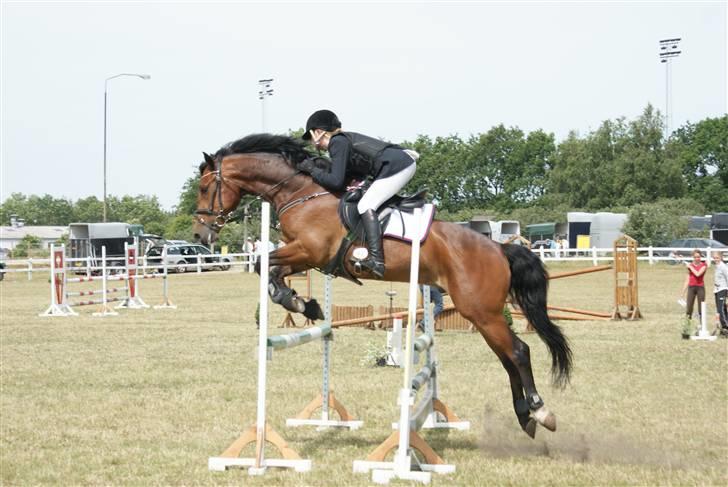 Belgisk Sportspony Hahiti (solgt) - LB Skive. Foto: Nadiiih billede 13