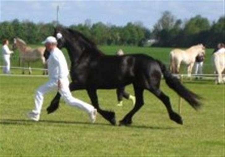 Frieser Gaia Hvalløs billede 14