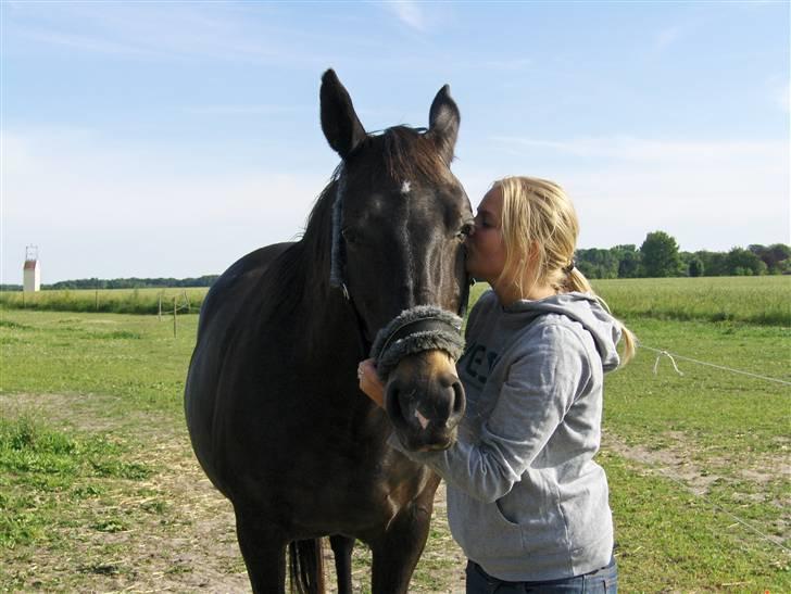 Anden særlig race Fleur  billede 14