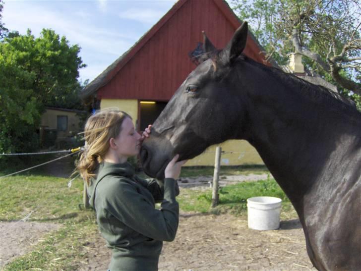 Anden særlig race Fleur  billede 16