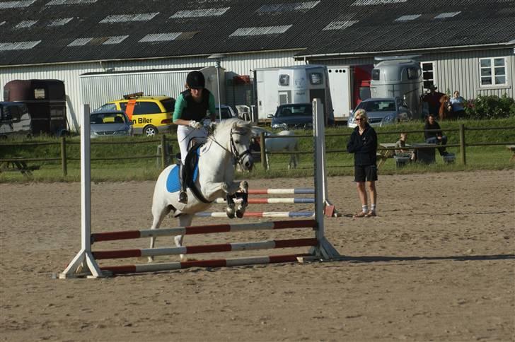 Anden særlig race Snehvide - 13# Stævne i KBK - LD   Foto : Hanne billede 13