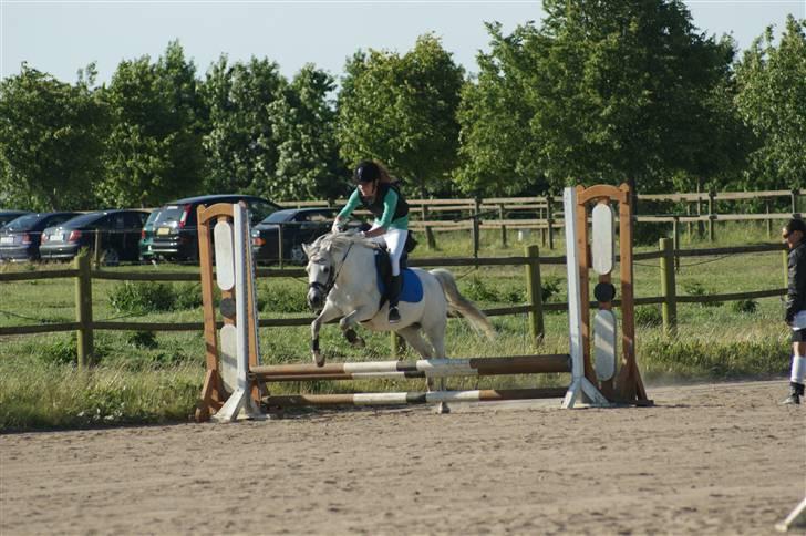 Anden særlig race Snehvide - 14# Stævne i KBK - LD      Foto : Hanne billede 14