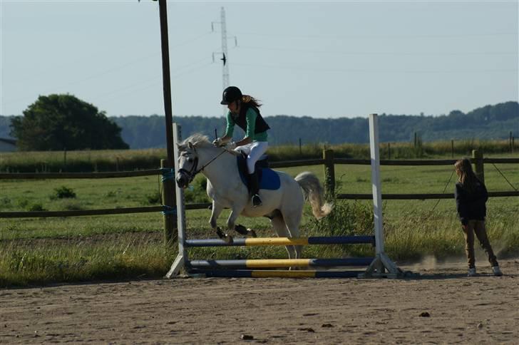 Anden særlig race Snehvide - 15# Stævne i KBK - LD    Foto : Hanne billede 15