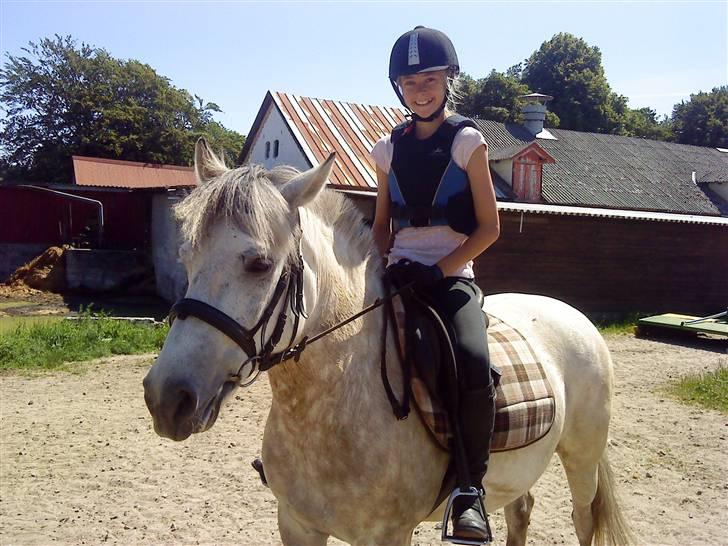 Anden særlig race bill gamel halvpart :'( - også her <3 billede 11