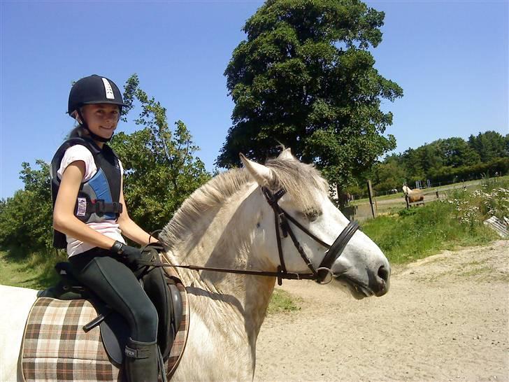 Anden særlig race bill gamel halvpart :'( - her hvade vi lige haft ene undervisning  billede 12