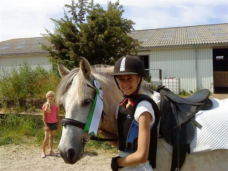 Anden særlig race bill gamel halvpart :'( - min smukke pony vi har  lige sprunget  billede 15