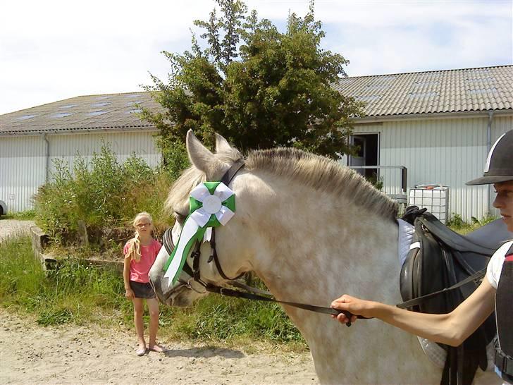 Anden særlig race bill gamel halvpart :'( - hvad sker der, der over  billede 16
