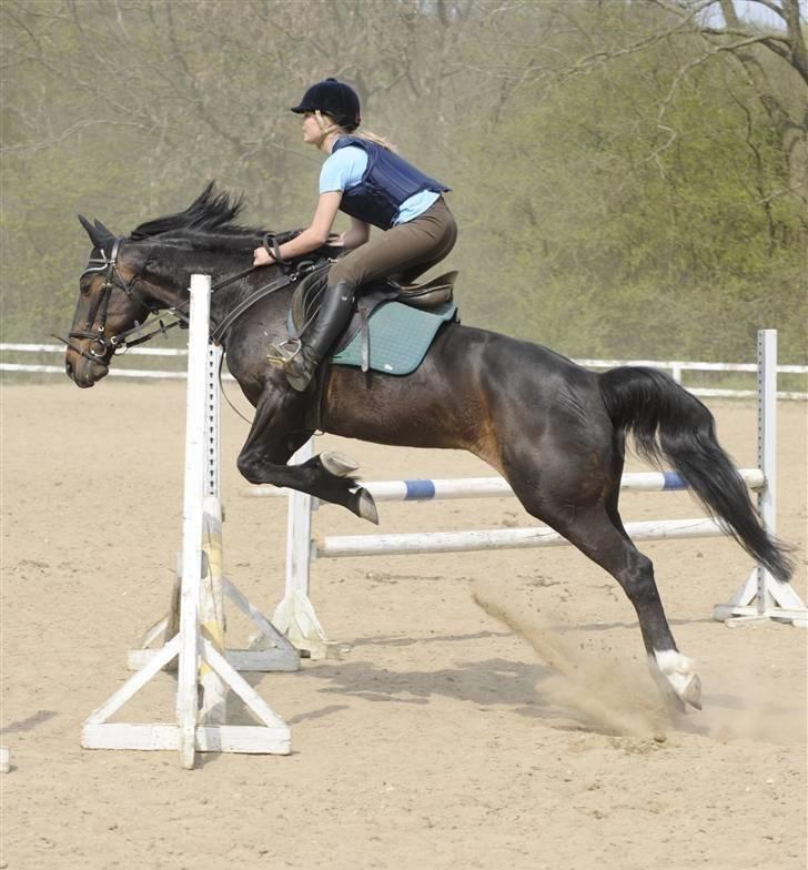 Anden særlig race Elin Starfish / Mille - Mille der springer med Mille :D billede 4