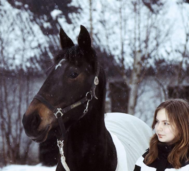 Anden særlig race Elin Starfish / Mille - Uhhh der er en fugl ! I sne !  billede 10