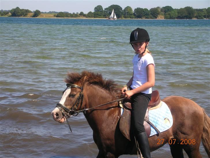 Anden særlig race Sanex <3  - Sanex bader! sidste sommer 2008..  billede 9