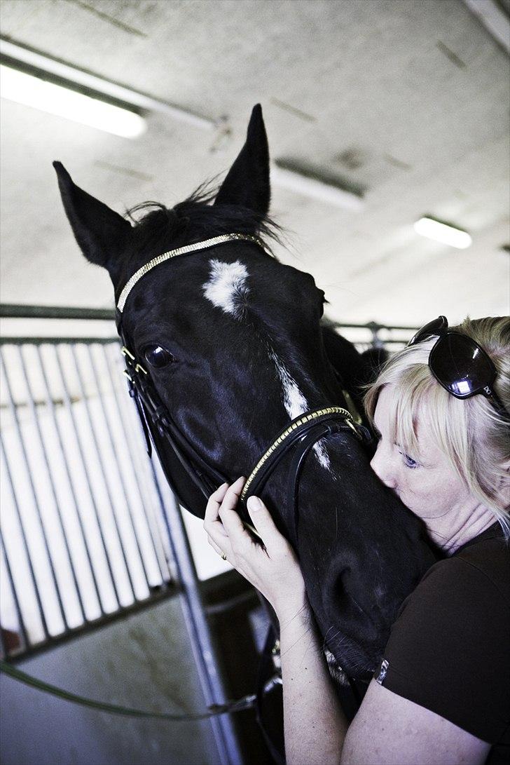 Oldenborg Damgaards Kivi Viola billede 5