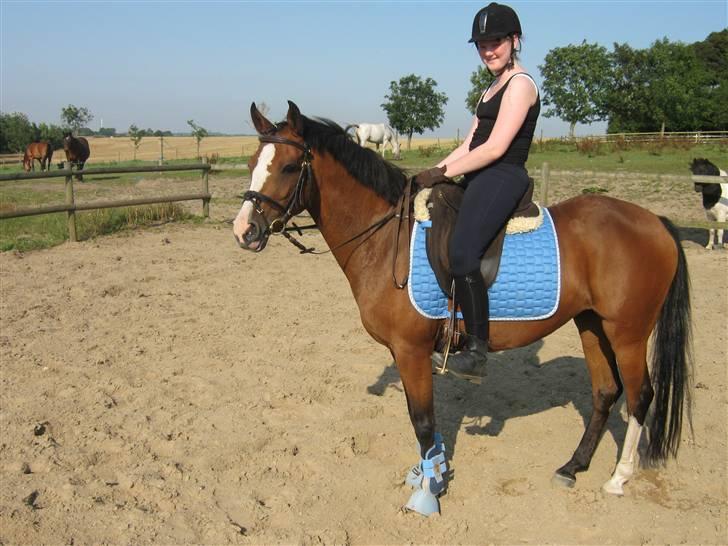 Hollandsk Sportspony Lybra - min smukkeste pony;) I <3 you billede 6