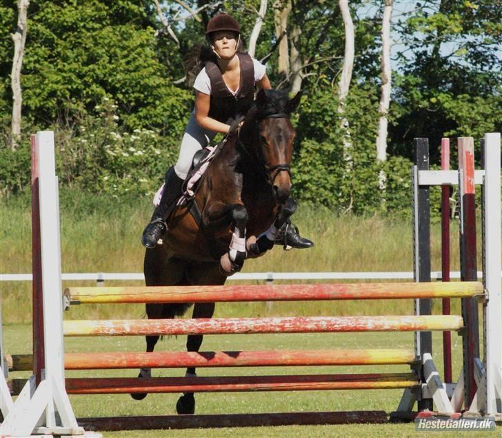 DSP Dine<3 - Elsker den pony over alt på jorden <33 foto debbi gade... billede 13