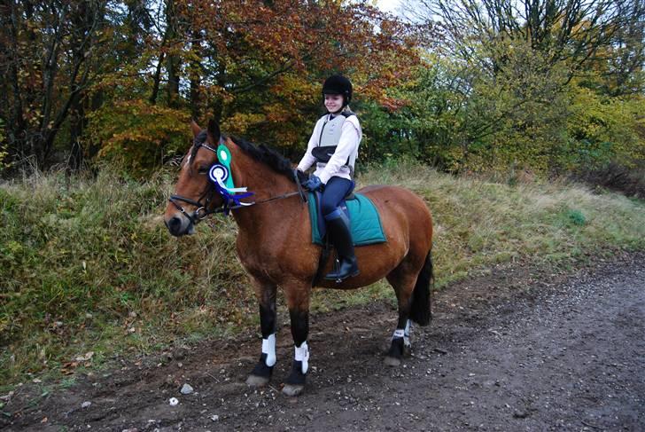 Anden særlig race Rosita ' R.I.P ' <3 :( - til første stævne:) // taget af frederikke ( FML ) billede 4