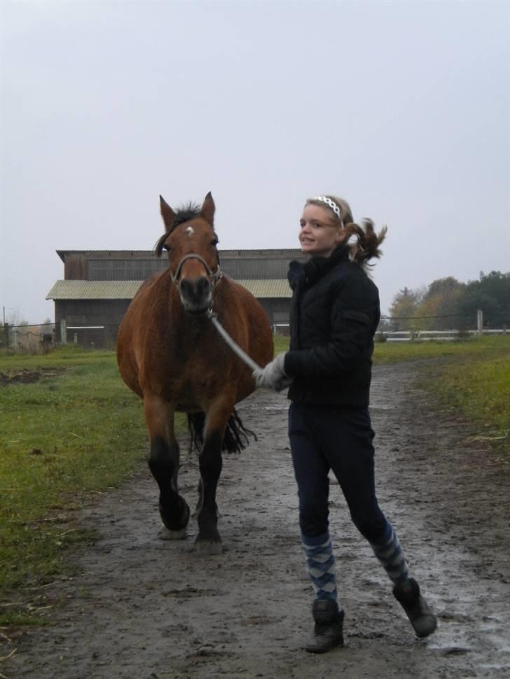 Anden særlig race Rosita ' R.I.P ' <3 :( - jeg vil altid løbe ved din side (´: // taget af sarah billede 5
