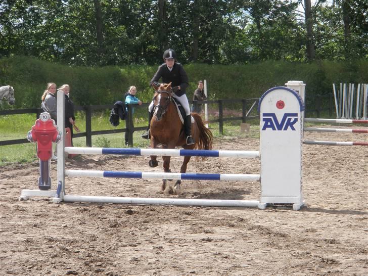 DSP Doran A-pony - SBR klubstævne i juni- LC billede 7