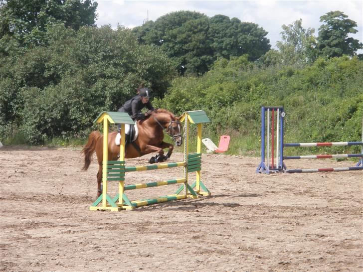 DSP Doran A-pony - SBR klubstævne i juni- LC billede 8