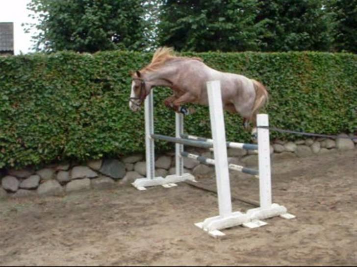 Anden særlig race Mario - Mario løsspringes, vil skyde på det er 100 cm billede 13