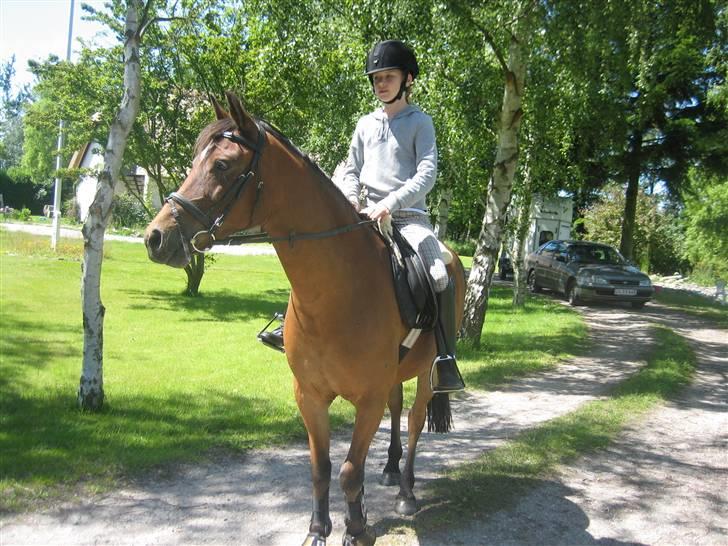 Anden særlig race Mr. Matrix - en af de første ture på Matrixen! billede 9